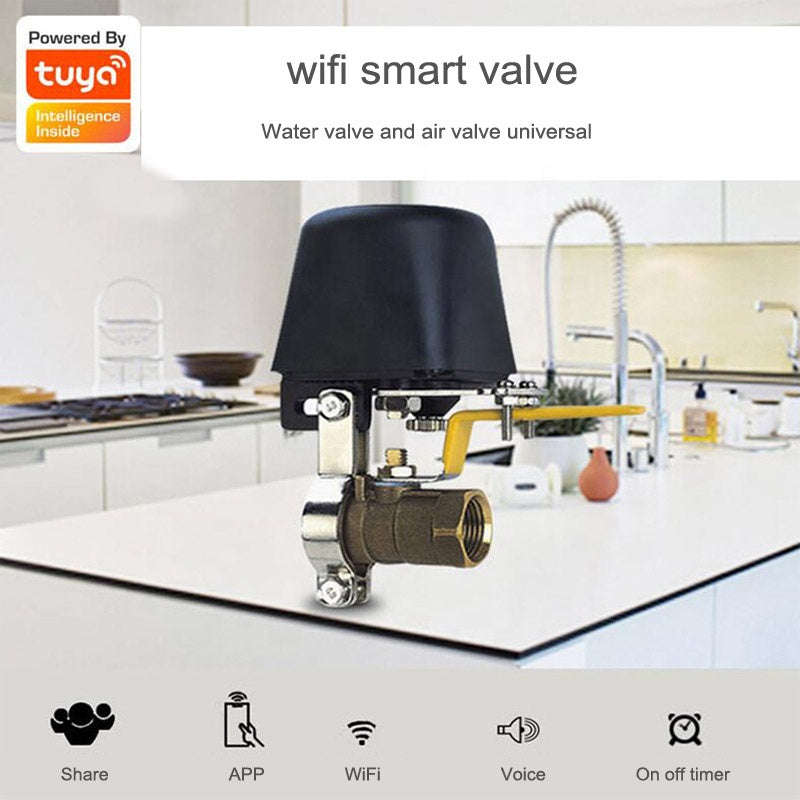 Water / gas valve remote control