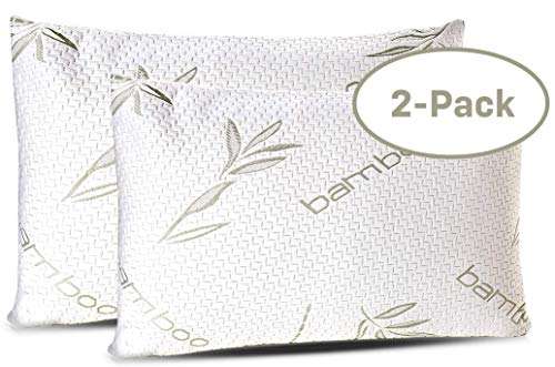 Bamboo Pillows Twin Pack
