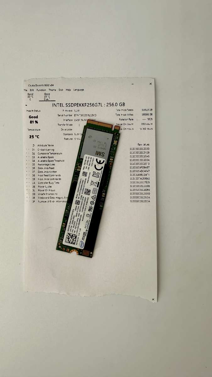 INTEL SSDPEKKF256G7L : 256.0 GB M.2 SSD 2280 (Test Results In Images)