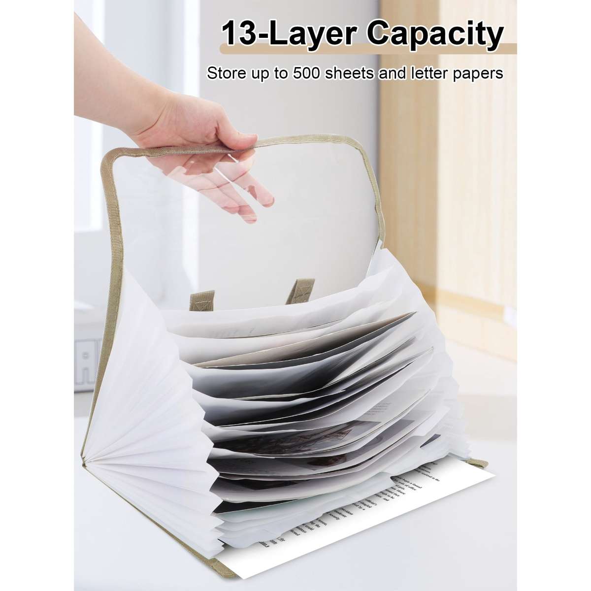 Transparent 13 Pocket A4 Carry Case - Blue