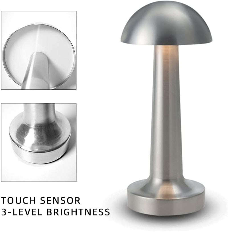Usb Rechargeable Desk Lamp Night/Pointed