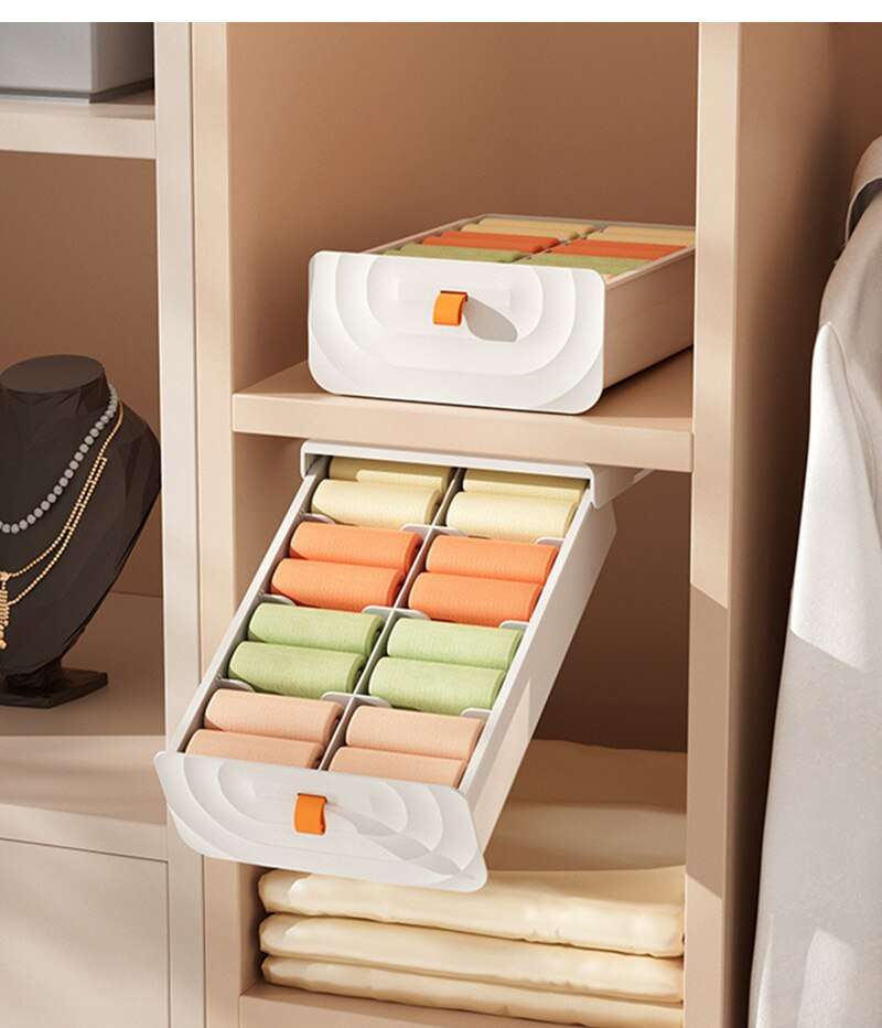 Pull Out Storage Organizer