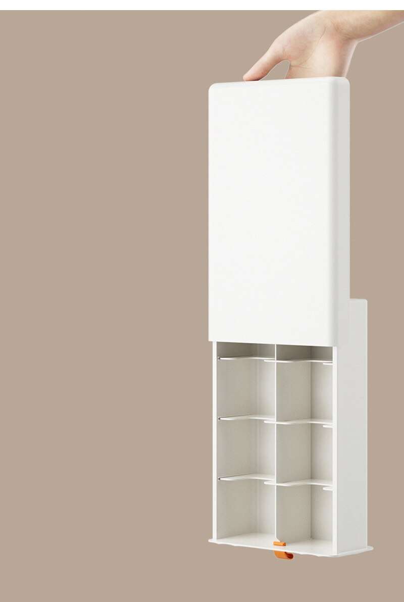 Pull Out Storage Organizer