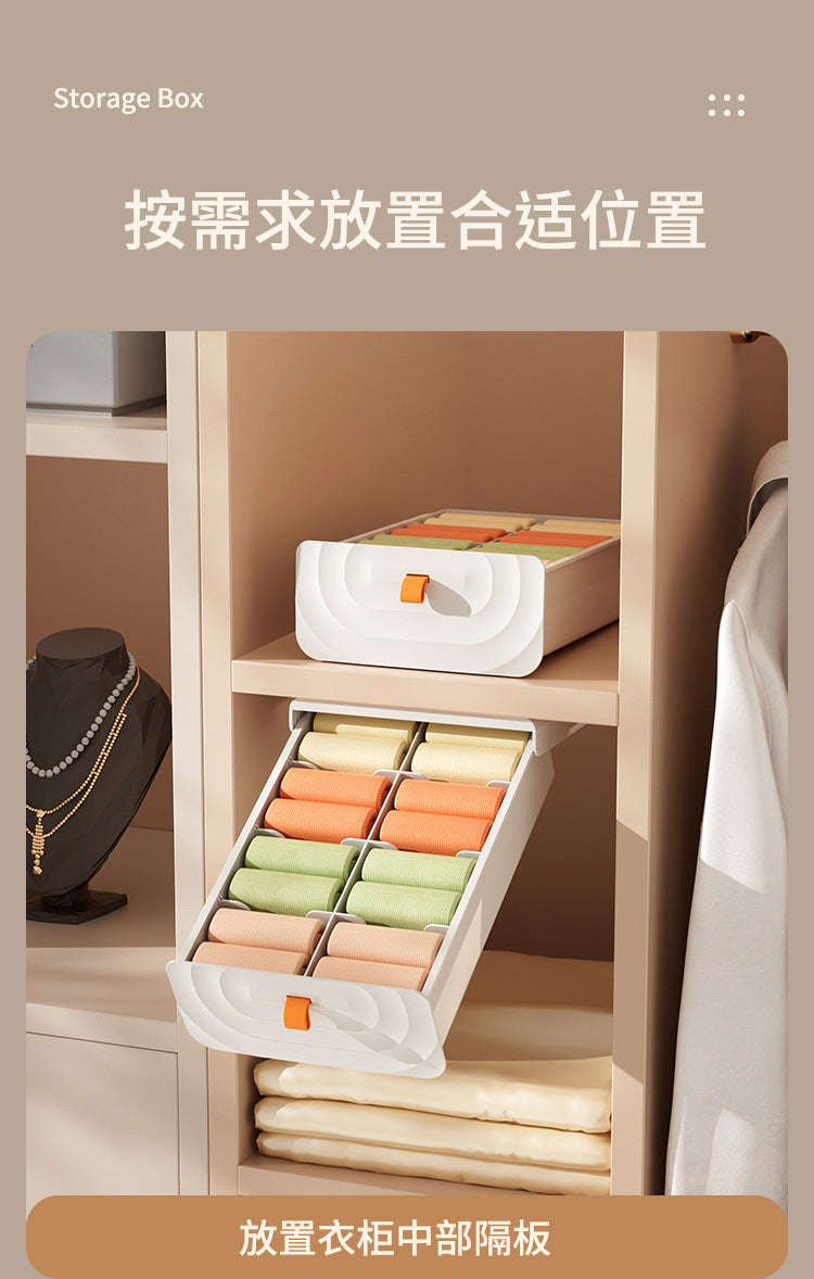 Pull Out Storage Organizer