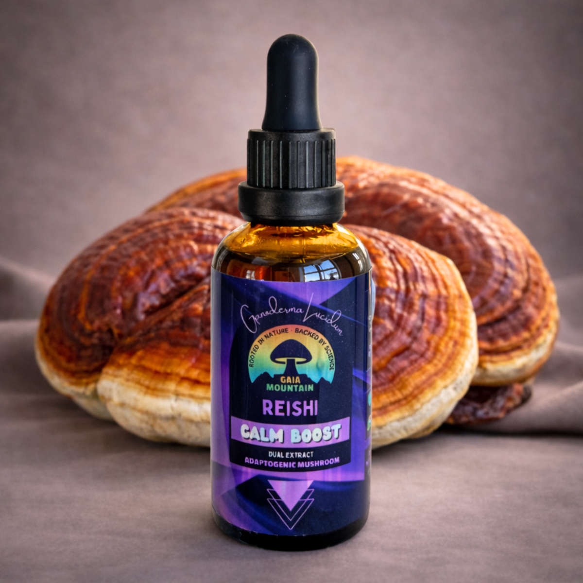 Reishi - 50 ml Ultrasonic Assisted Dual Extract Tincture