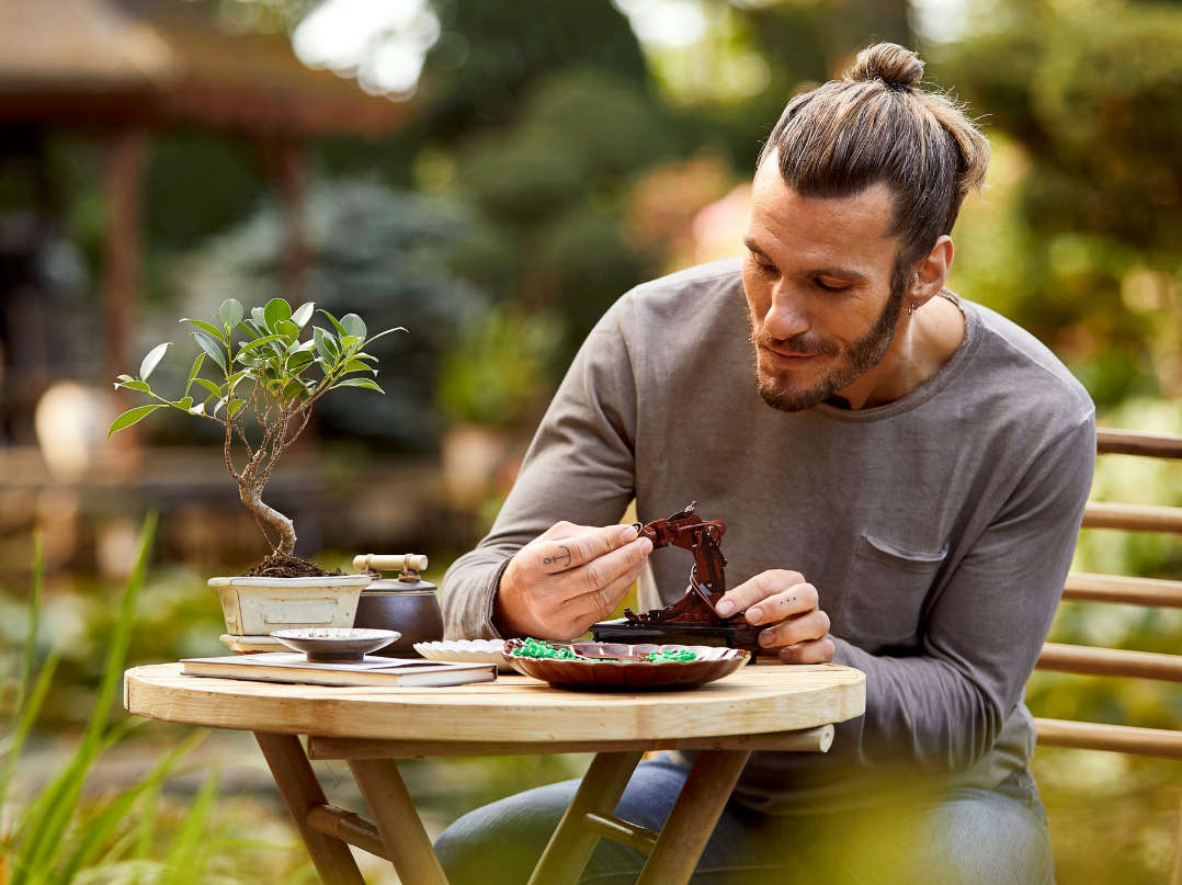 LEGO Creator Expert 10281 Bonsai Tree