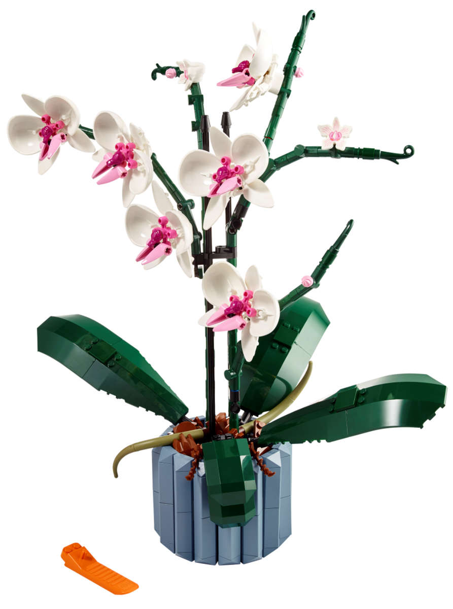 LEGO Icons 10311 Orchid