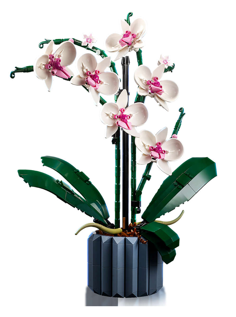 LEGO Icons 10311 Orchid