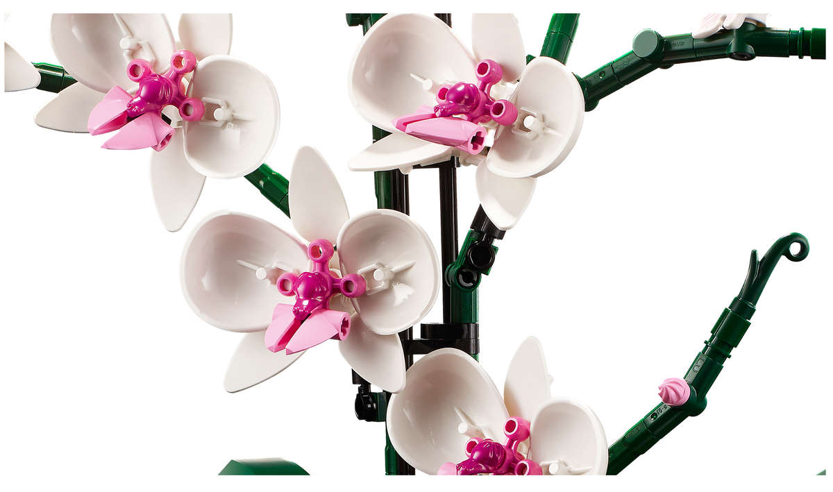 LEGO Icons 10311 Orchid
