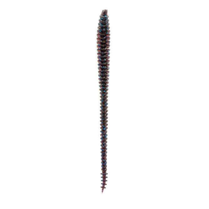 6.5" BOOSA SHAKEY WORM (6th Sense)
