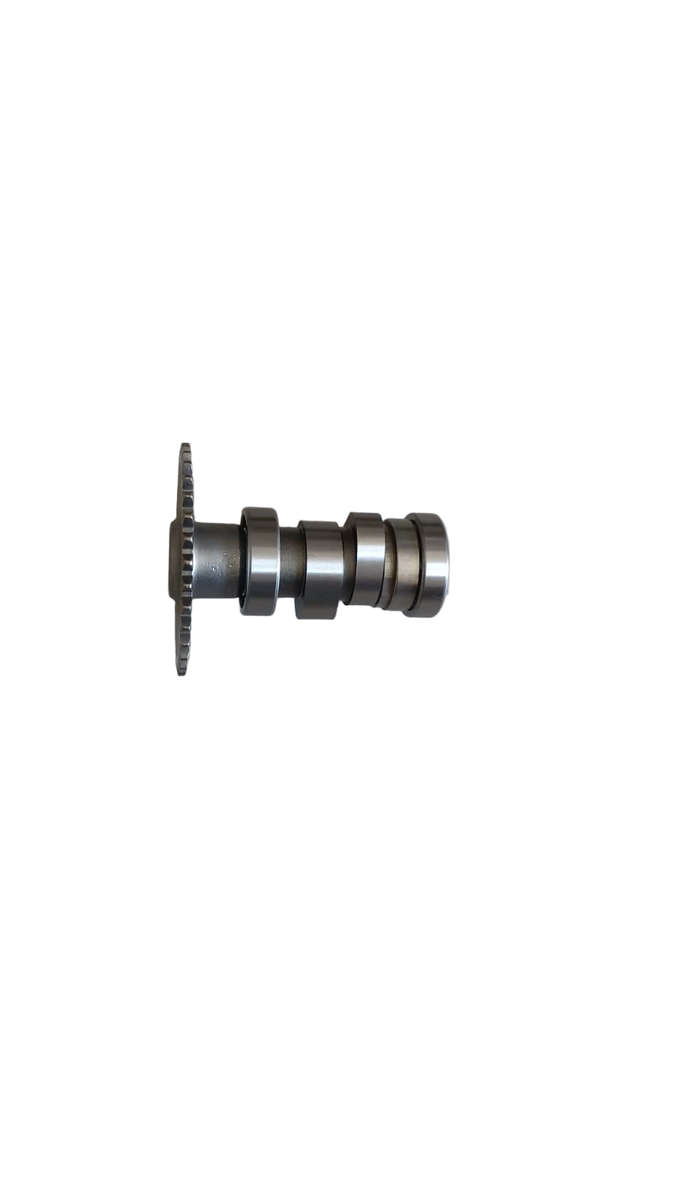 Big boy velocity CG150 camshaft