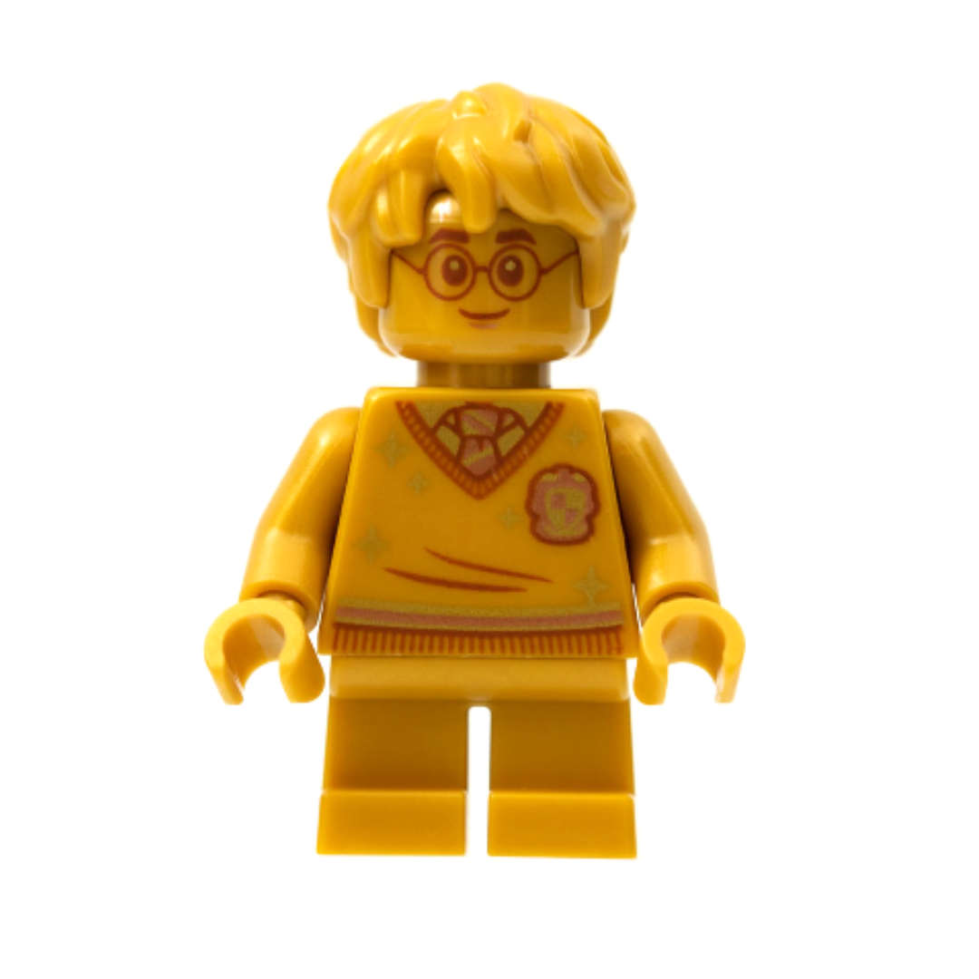 76386 LEGO Harry Potter Chamber of Secrets Hogwarts Polyjuice Potion Mistake 20th Anniversary Gol...