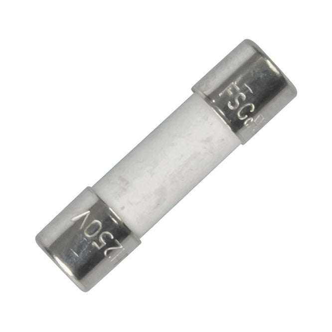 Ceramic Tube Fuse S/Blow 10 A 5x20 T10 H250 V