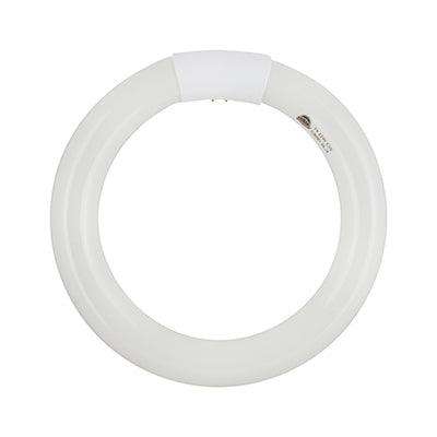 Radiant T9 Fluorescent Circline 22w G10q 4000 K