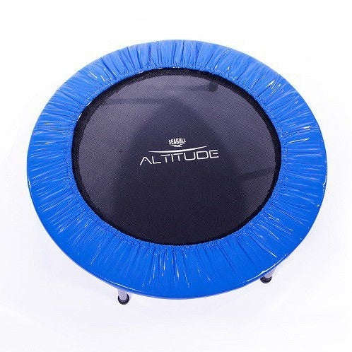 38" Mini Trampoline Cover