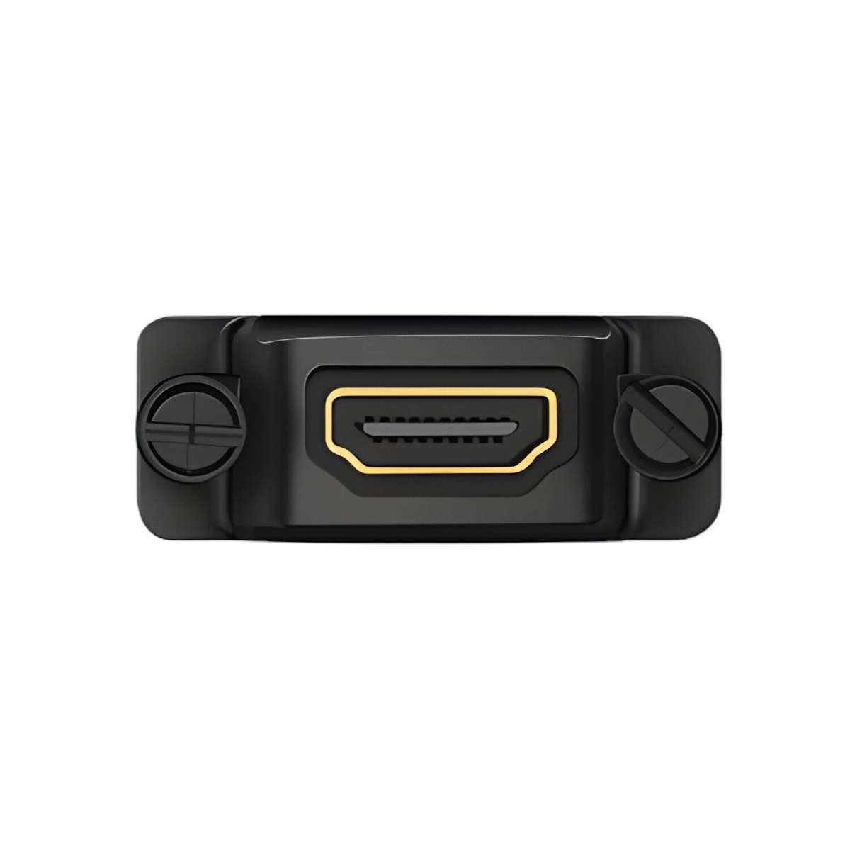 Ugreen Dvi (24+1) Male To HDMI Female Adapter Black