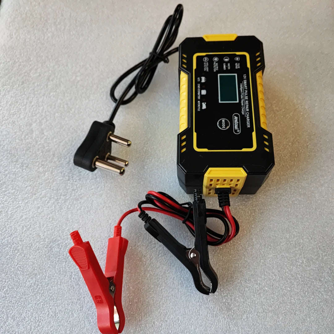 Andowl Repair 12V-24V Intelligent Pulse Charger DP672