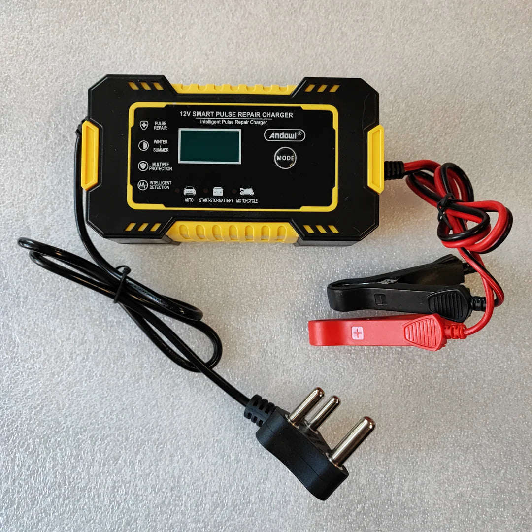 Andowl Repair 12V-24V Intelligent Pulse Charger DP672