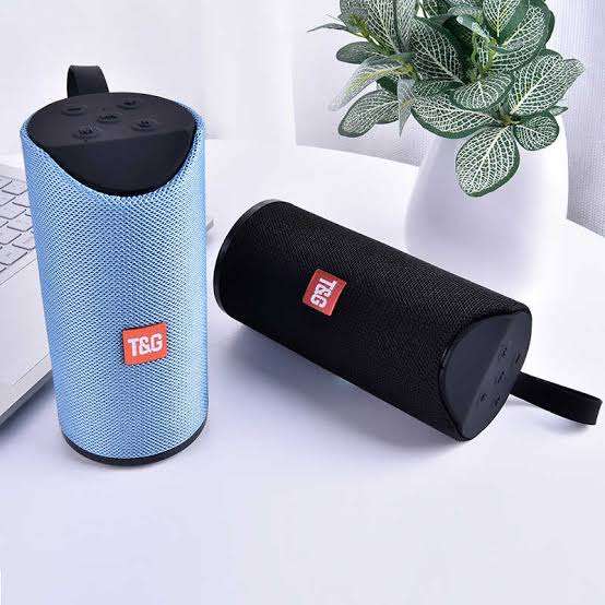 T&G Portable BT Speaker