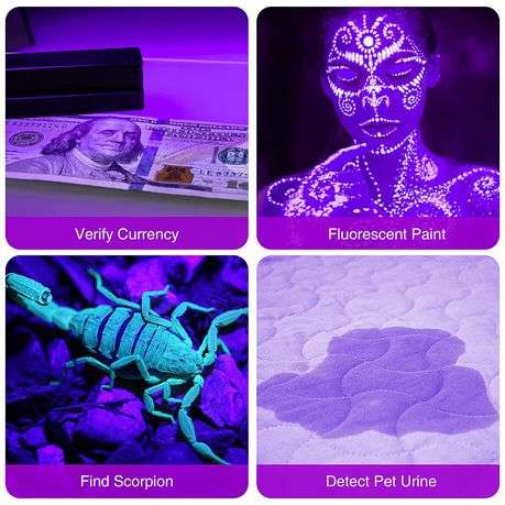 Purple 12 LED Portable Flashlight