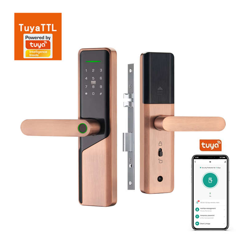 biometric-smart-door-lock-s037