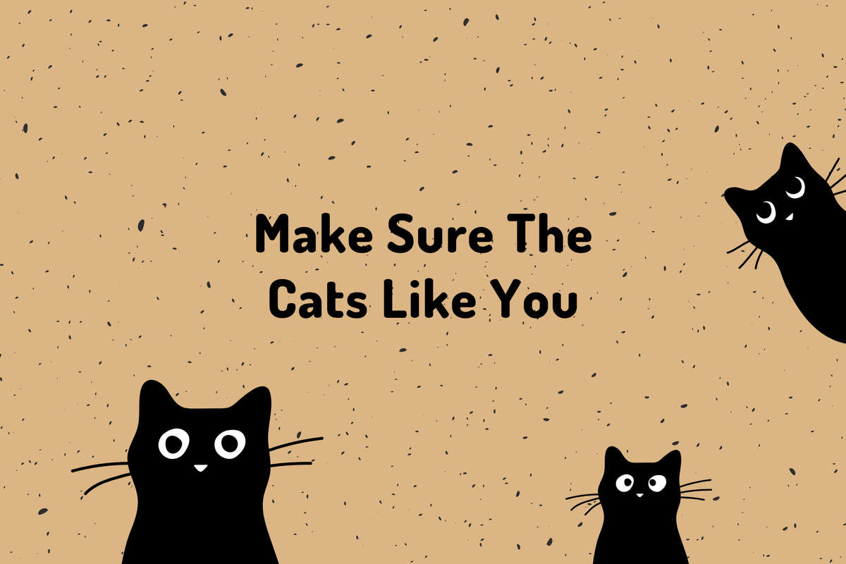 Make Sure The Cats Like You Mat