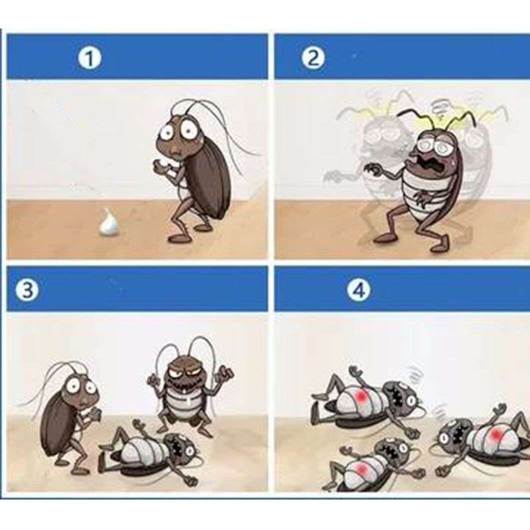 Roach Expert Cockroach Gel 5G