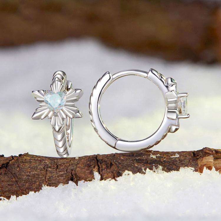 S925 Sterling Silver All-match Snowflake Women Earrings(BSE1134)