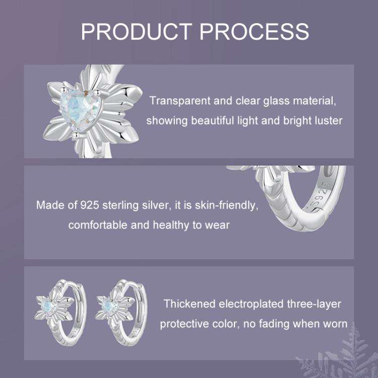 S925 Sterling Silver All-match Snowflake Women Earrings(BSE1134)