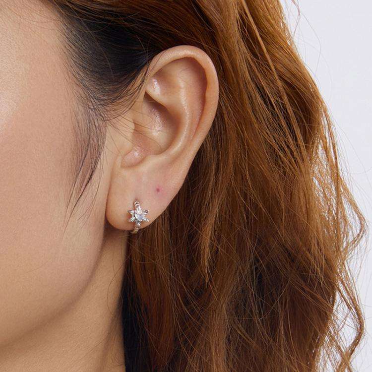 S925 Sterling Silver All-match Snowflake Women Earrings(BSE1134)