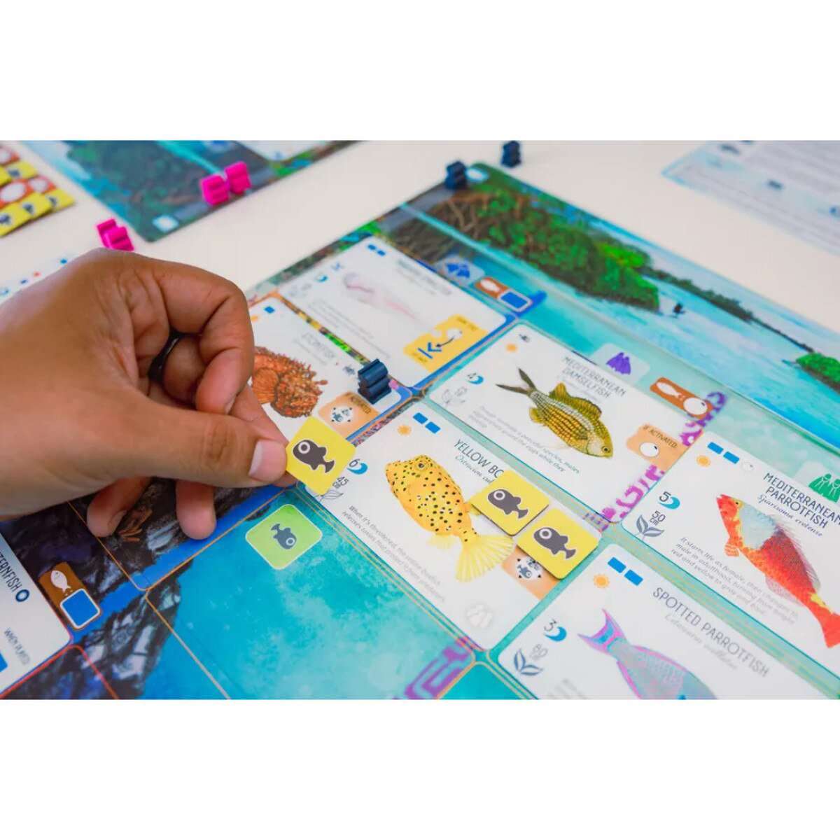 Finspan Board Game