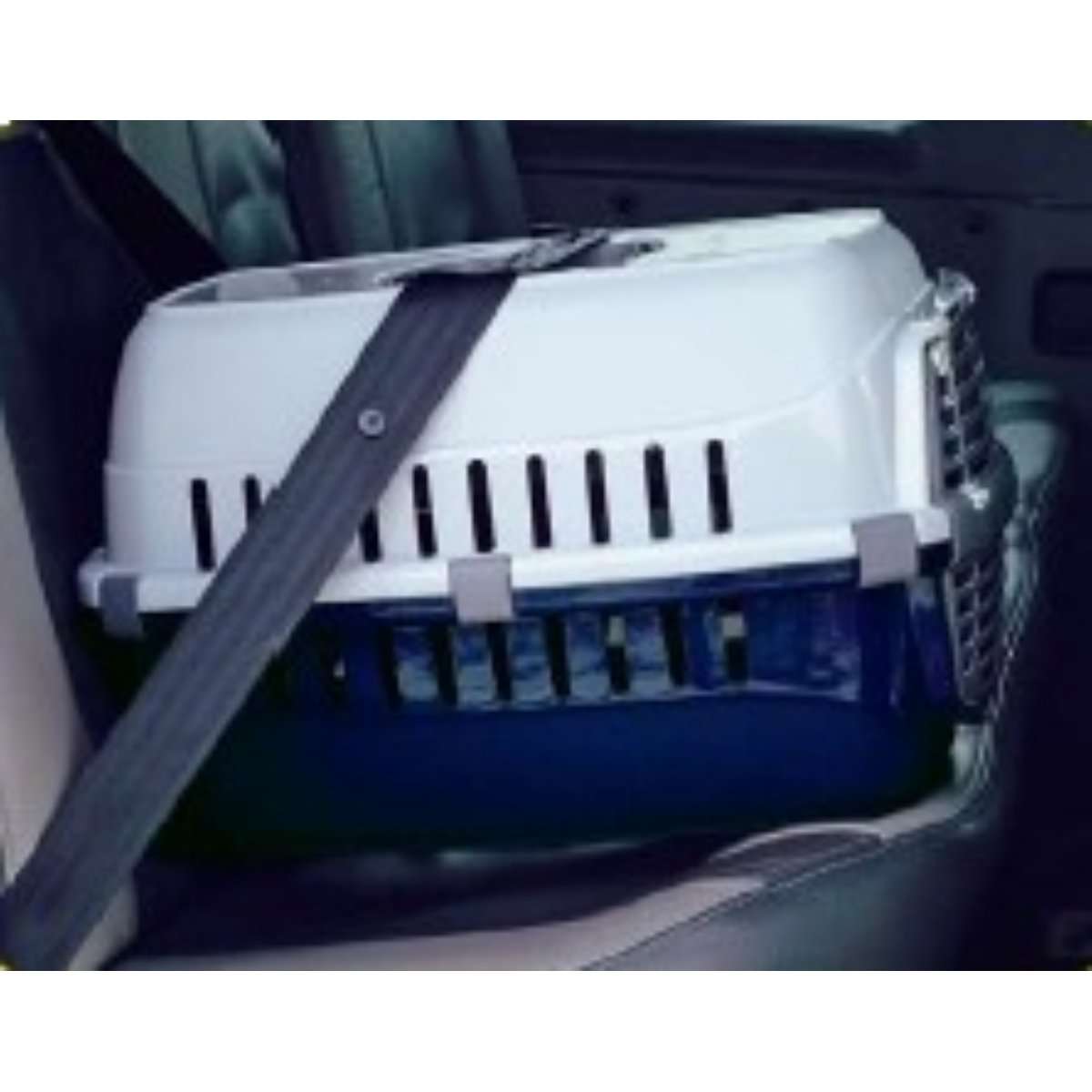 Moderna Road Runner Spring Lock Pet Carrier