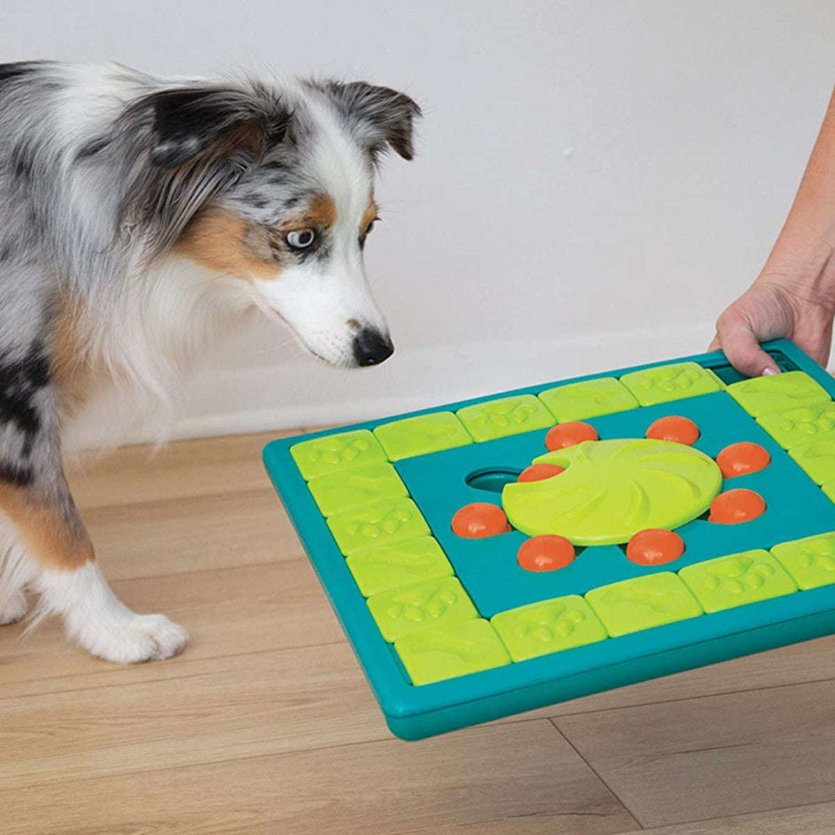 Nina Ottosson MultiPuzzle Level 4 Dog Puzzle Game