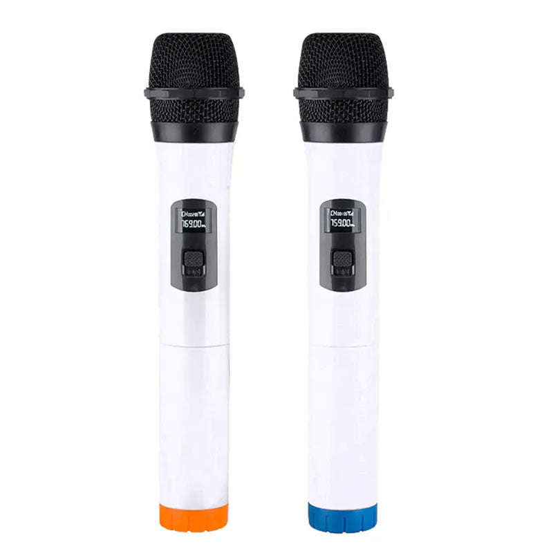 Professional Dual Karaoke Wireless Microphone -308