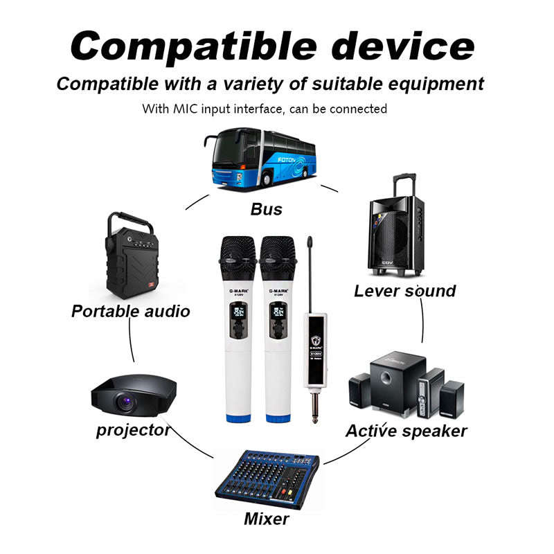 Professional Dual Karaoke Wireless Microphone -308
