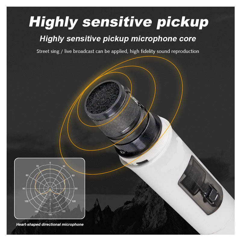 Professional Dual Karaoke Wireless Microphone -308