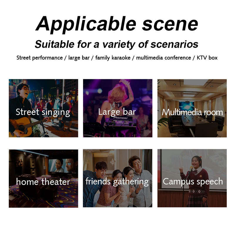 Professional Dual Karaoke Wireless Microphone -308