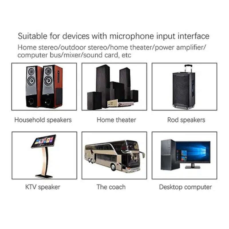 Professional Wireless Microphone -308