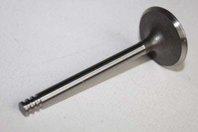 VOLKSWAGEN GOLF 5 2006 1.9TDI 2006 INLET VALVES
