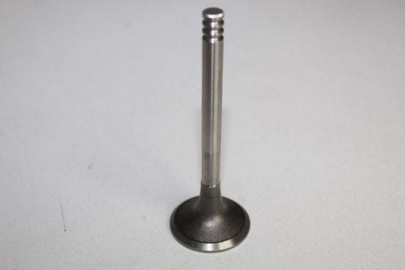 VOLKSWAGEN GOLF 5 2006 1.9TDI 2006 EXHAUST VALVES