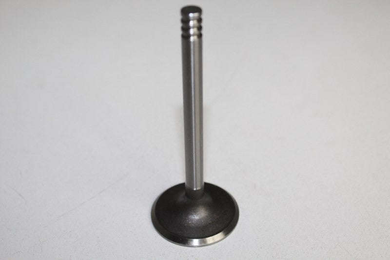 VOLKSWAGEN GOLF 5 2006 1.9TDI 2006 INLET VALVES