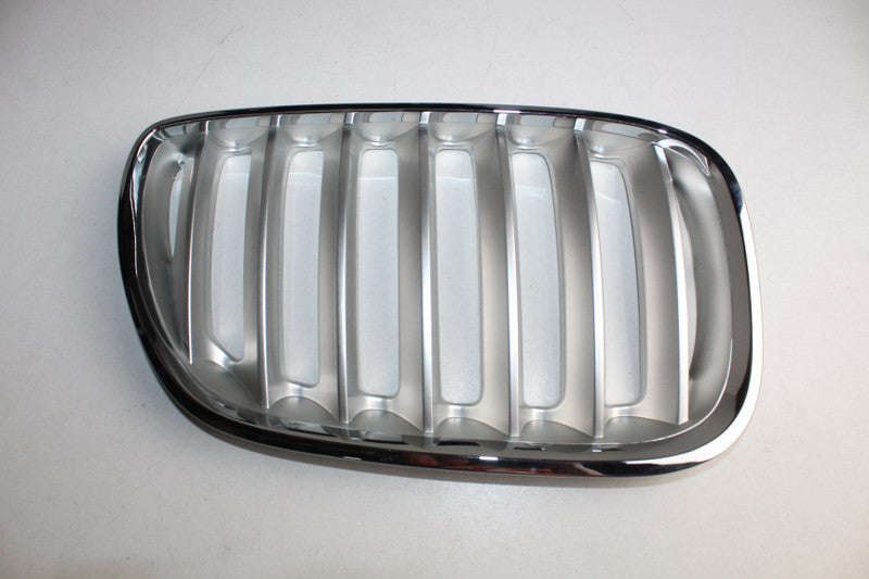 BMW GRILLE X5 E53 CHROME & SILVER RF