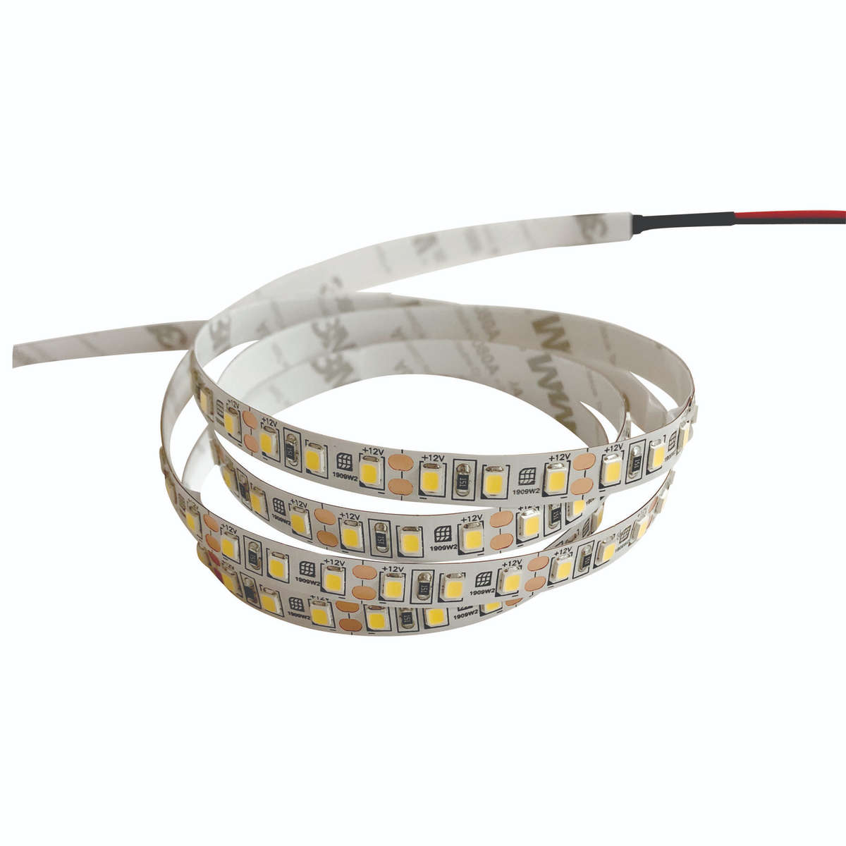 Pioled 9.6W 12V IP20 Strip 6000K  5M 120 LED/M