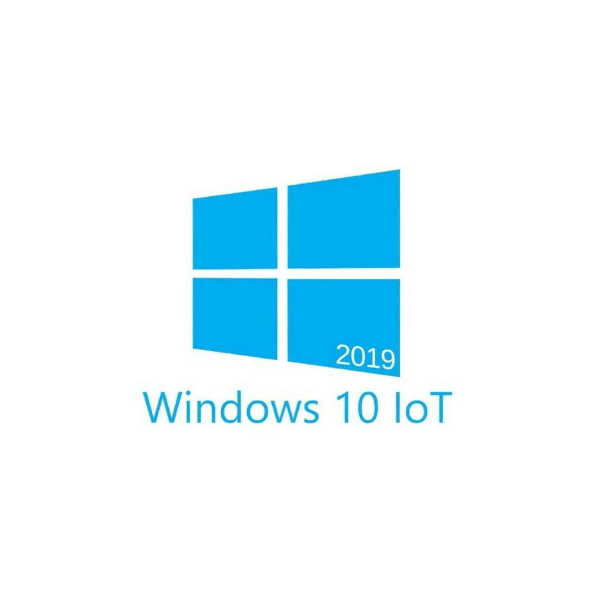 Win 10 IoT Ent 2019 LTSC MultiLang ESD OEI High End (i7/ Xeon CPU)