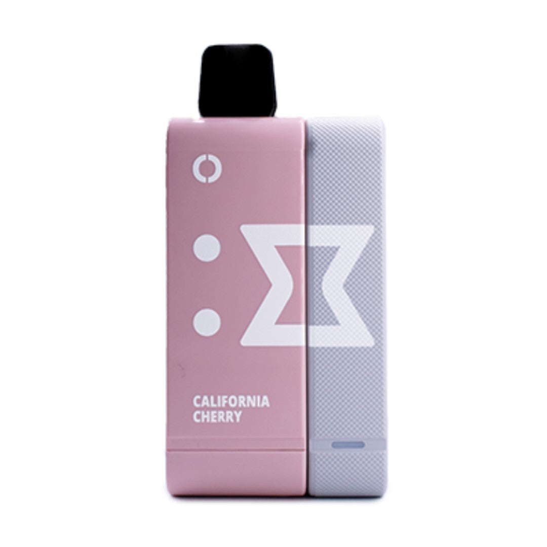 ElfBar 9000 Puffs Rechargeable Vape Pod 50mg with Power Bank