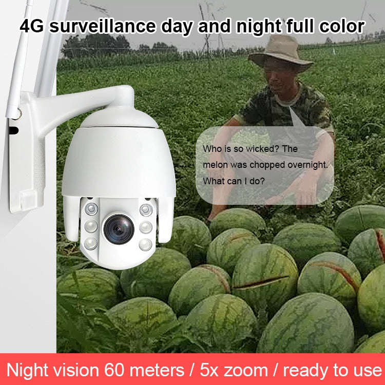 QX2 4G (EU Version) 1080P HD 360 Degrees Panoramic Day and Night Full-color IP66 Waterproof Smart...