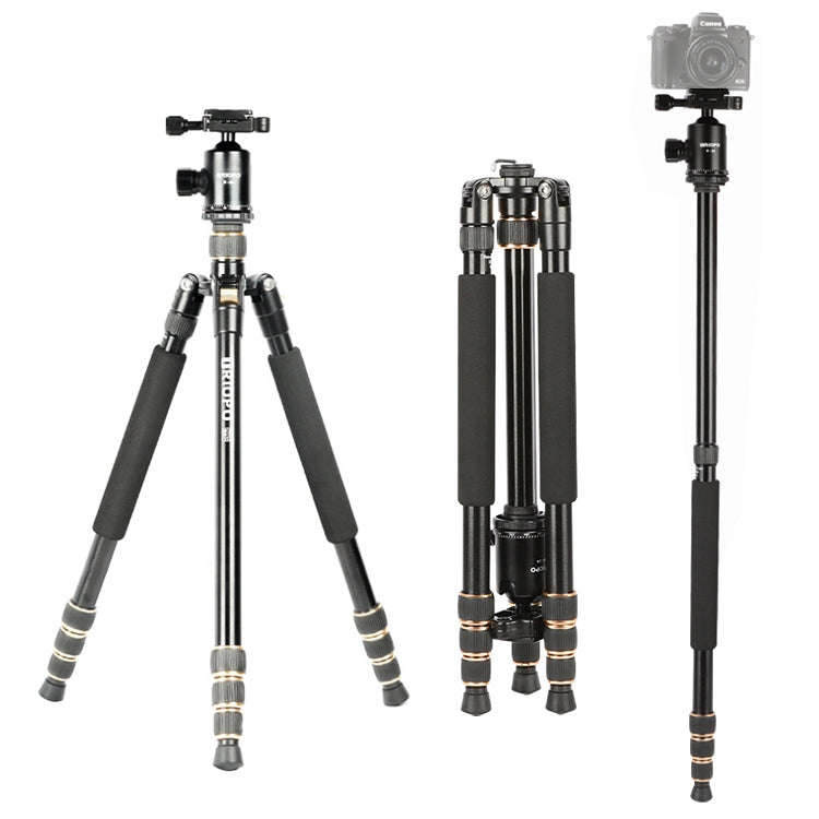 TRIOPO 554 Adjustable Portable  Aluminum Alloy Tripod with D-2A Ball Head for SLR Camera, 554