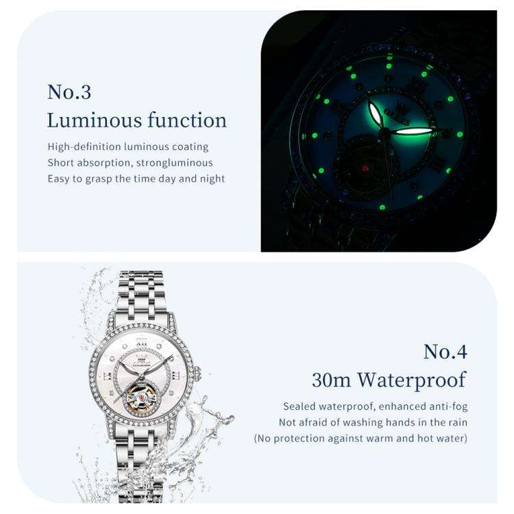 OLEVS 7036 Women Starry Sky Disk Luminous Skeleton Mechanical Watch