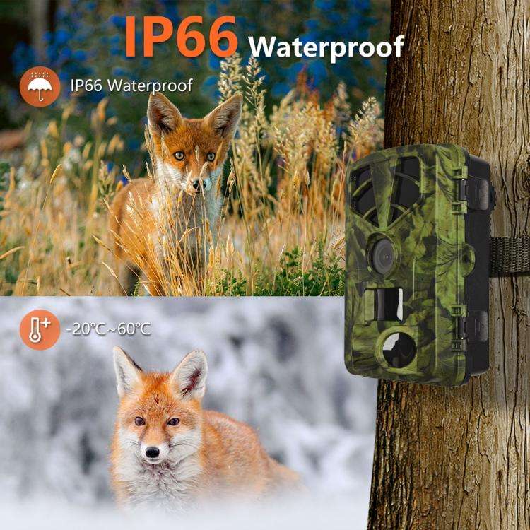 PR906W WiFi Version 5K HD Night vision Infrared Hunting Camera, PR906W