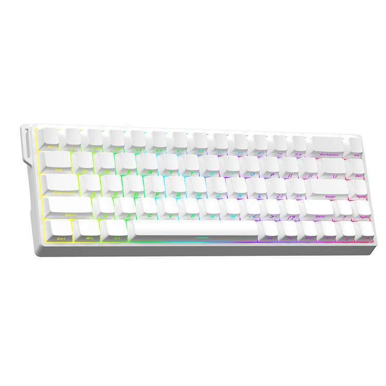 AULA WIN68HE Standard Version 68 Keys RGB Wired Keyboard, WIN68HE Side Printed White Grey Wood Ma...